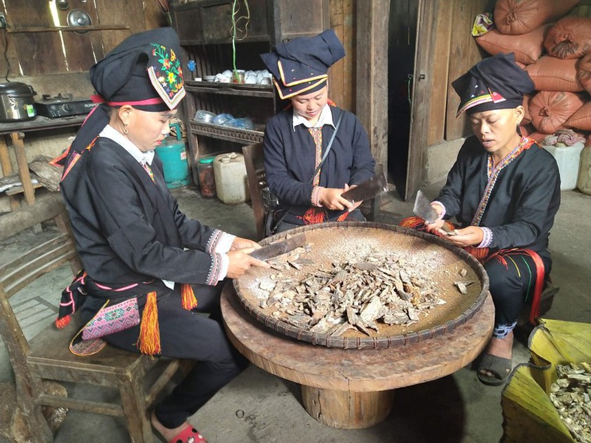 Báu vật sản sinh ra ‘vàng trắng’ của Việt Nam khiến người Trung Quốc trầm trồ: Hàng Việt là số 1! - Ảnh 1.