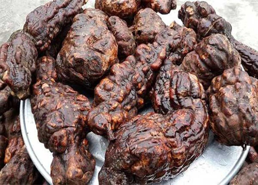 Loại củ được ví sánh ngang 'thuốc tiên' là cứu tinh của gan thận, sạch mỡ trong máu - Ảnh 1. Loại củ được ví sánh ngang 'thuốc tiên' là cứu tinh của gan thận, sạch mỡ trong máu - Ảnh 1.