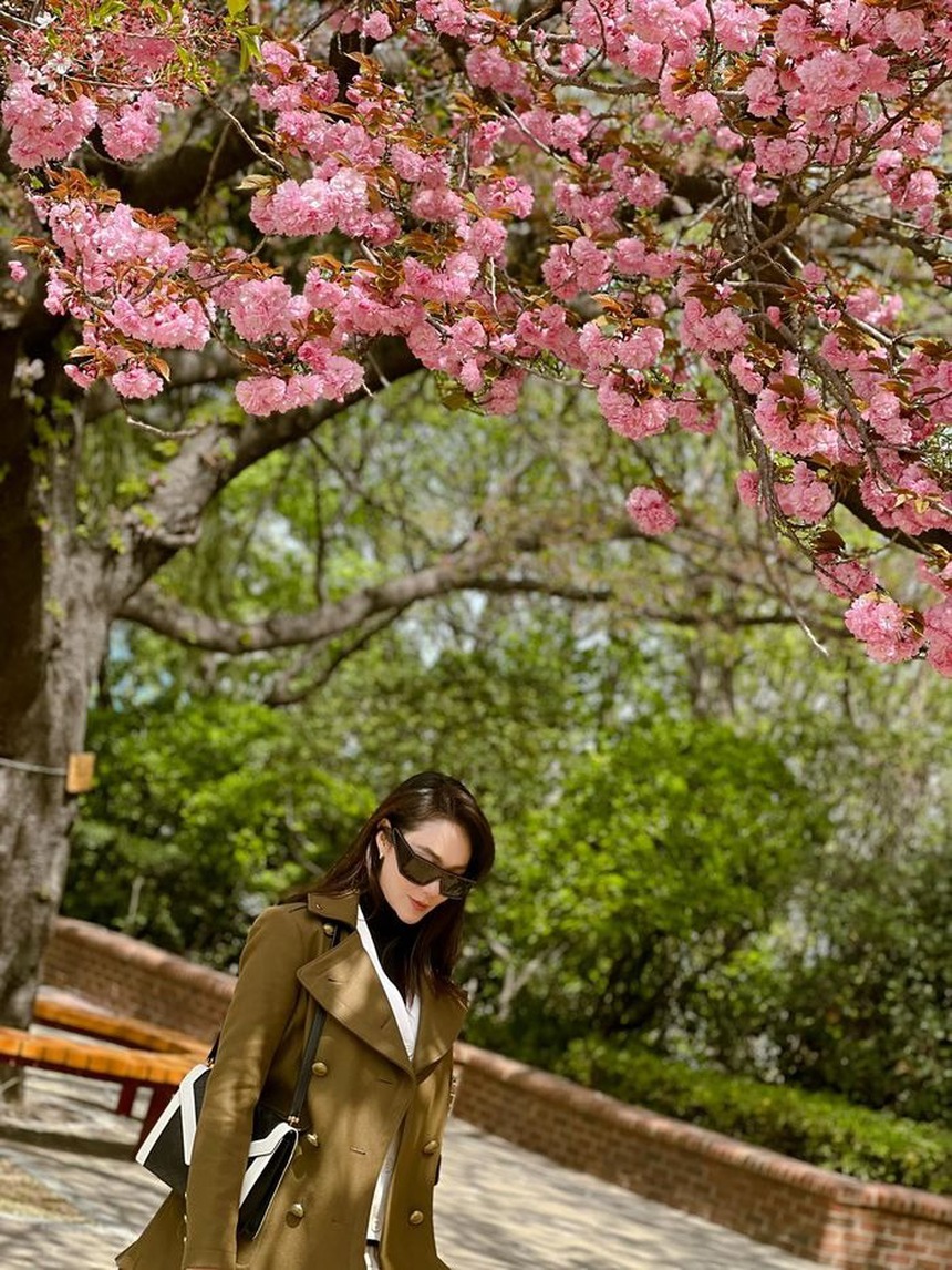Loạt sao Việt 'săn' hoa anh đào: Phương Oanh - Shark Bình né chụp chung, Minh Hằng xinh đẹp giữa thai kì - Ảnh 7.