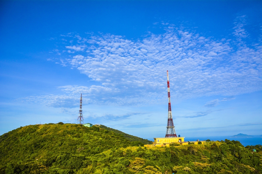 Bán đảo Sơn Trà (thành phố Đà Nẵng) rực rỡ sắc hoa - Ảnh 1. Bán đảo Sơn Trà (thành phố Đà Nẵng) rực rỡ sắc hoa - Ảnh 1.