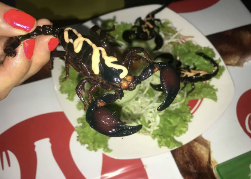 Khách Tây khiến dân tình xôn xao với 5 món ăn 'gây rùng mình nhất' ở Việt Nam, đặc biệt là món số 2: Thật tuyệt khi chúng tôi 'sống sót'! - Ảnh 3.