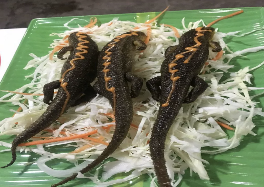 Khách Tây khiến dân tình xôn xao với 5 món ăn 'gây rùng mình nhất' ở Việt Nam, đặc biệt là món số 2: Thật tuyệt khi chúng tôi 'sống sót'! - Ảnh 4.