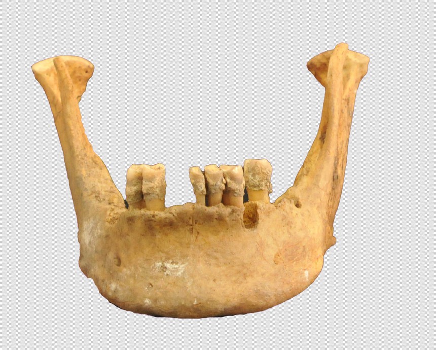 Phát hiện kinh ngạc ở vùng "cực thứ 3 của Trái đất": Mẫu vật 3.500 tuổi vén màn bí mật, trái ngược ghi chép của vị tể tướng nổi tiếng - Ảnh 1.