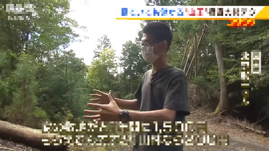 Mua đất rừng giá rẻ như cho, người đàn ông giàu sụ từ tiền đền bù trả đều đặn hàng năm: Ngồi không đếm cột điện nhân thành tiền cũng đủ sống - Ảnh 4. Mua đất rừng giá rẻ như cho, người đàn ông giàu sụ từ tiền đền bù trả đều đặn hàng năm: Ngồi không đếm cột điện nhân thành tiền cũng đủ sống - Ảnh 4.