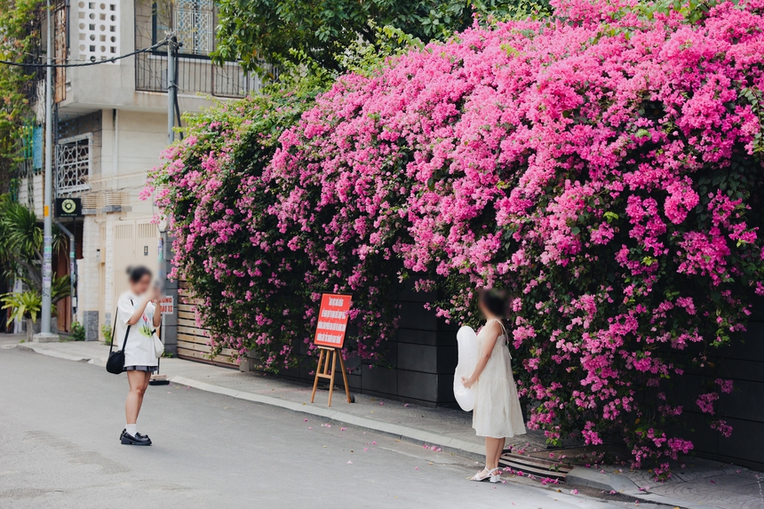 Dù đã treo biển cấm chụp hình, nhưng con đường hoa giấy hot nhất TP.HCM vẫn đông đúc người bất chấp đến "sống ảo" - Ảnh 7. Dù đã treo biển cấm chụp hình, nhưng con đường hoa giấy hot nhất TP.HCM vẫn đông đúc người bất chấp đến "sống ảo" - Ảnh 7.