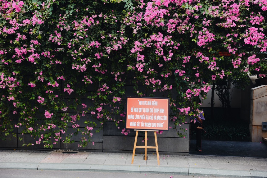 Muốn có ảnh đẹp nhưng cũng phải có ý thức: những lần giới trẻ náo loạn các địa điểm chỉ vì "sống ảo" bất chấp - Ảnh 10. Muốn có ảnh đẹp nhưng cũng phải có ý thức: những lần giới trẻ náo loạn các địa điểm chỉ vì "sống ảo" bất chấp - Ảnh 10.