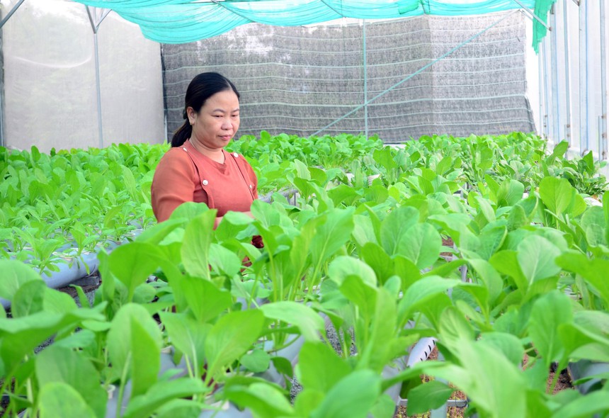 Thành lập Hội đồng thẩm định Quy hoạch hệ thống đô thị và nông thôn thời kỳ 2021-2030, tầm nhìn 2050 - Ảnh 1.