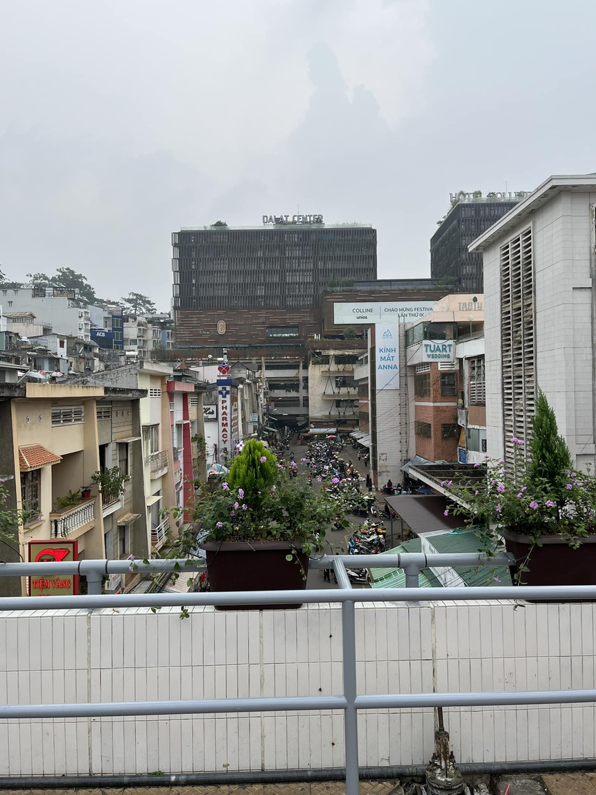 Góc check-in hot nhất nhì Đà Lạt bỗng xuất hiện "vật thể lạ" khiến dân tình xôn xao lo mất chỗ chụp ảnh đẹp - Ảnh 3.