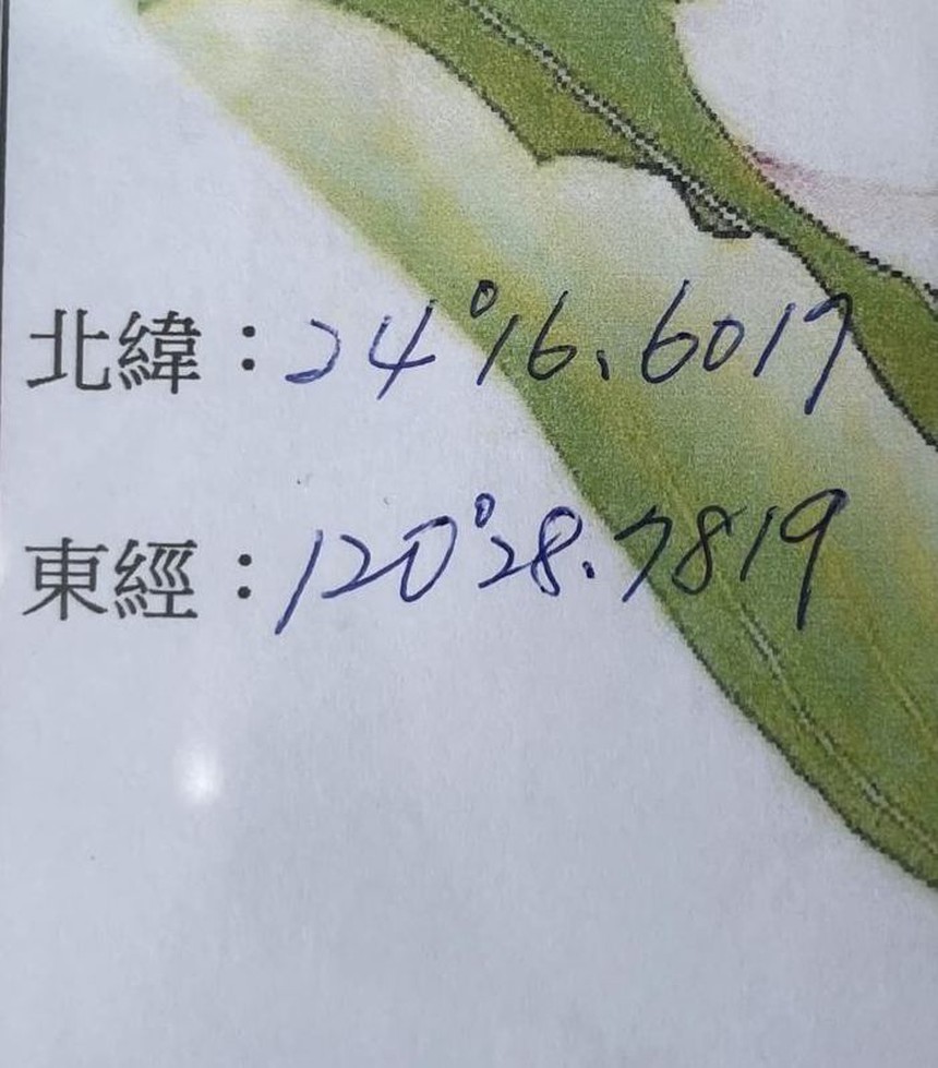 Tài khoản Lý Khôn Thành bất ngờ cập nhật bài đăng mới, là động thái ẩn ý từ vợ trẻ kém 39 tuổi? - Ảnh 3. Tài khoản Lý Khôn Thành bất ngờ cập nhật bài đăng mới, là động thái ẩn ý từ vợ trẻ kém 39 tuổi? - Ảnh 3.
