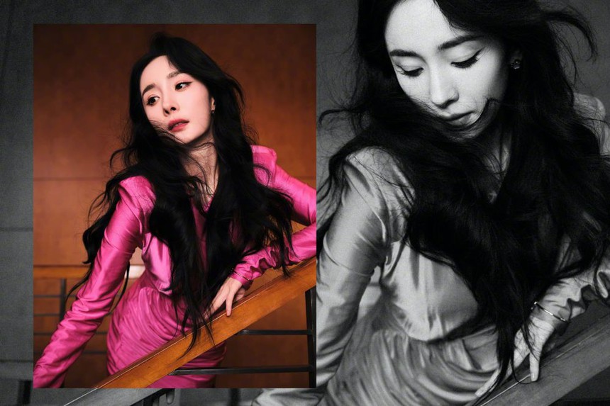 Tranh cãi Dương Mịch đang đi theo con đường của Triệu Lệ Dĩnh? - Ảnh 1.