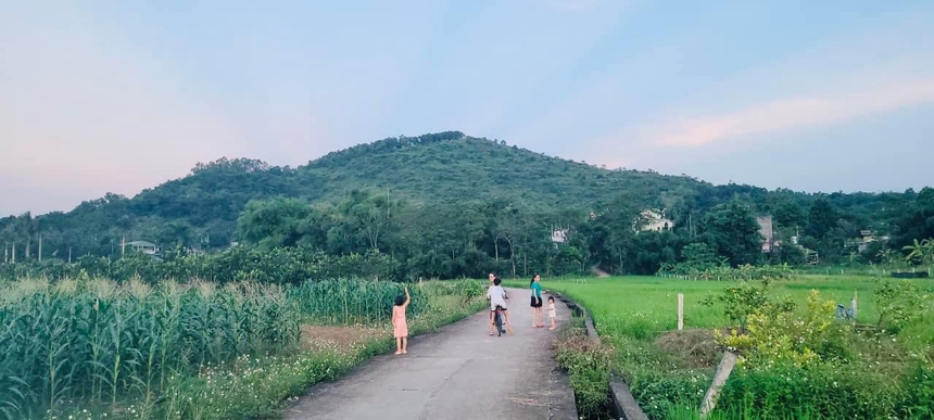 Anh kỹ sư mua 1.000m2 đất ngoại ô Hà Nội cho vợ nuôi gà, trồng rau, xây nhà sàn độc đáo có view đồng lúa xanh mướt - Ảnh 7.