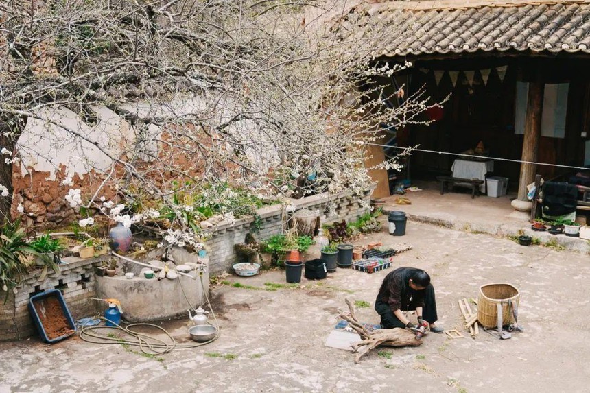 Chán thành phố, cô gái lên núi tự tay khai phá 12.000m2 đất hoang thành thiên đường của riêng mình: Cuộc sống  trồng rau, nuôi gà vẫn thú vị hơn là ngồi “gõ phím di chuột” - Ảnh 11.