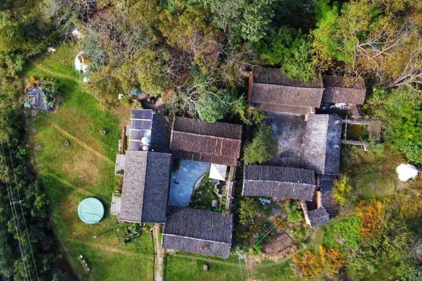 Chán thành phố, cô gái lên núi tự tay khai phá 12.000m2 đất hoang thành thiên đường của riêng mình: Cuộc sống  trồng rau, nuôi gà vẫn thú vị hơn là ngồi “gõ phím di chuột” - Ảnh 7.