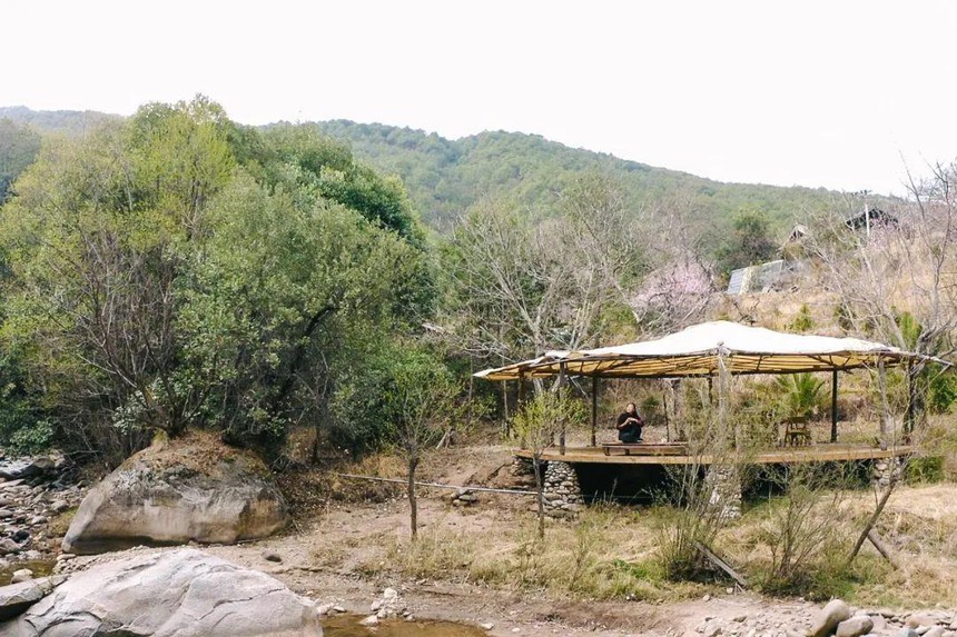 Chán thành phố, cô gái lên núi tự tay khai phá 12.000m2 đất hoang thành thiên đường của riêng mình: Cuộc sống  trồng rau, nuôi gà vẫn thú vị hơn là ngồi “gõ phím di chuột” - Ảnh 8.