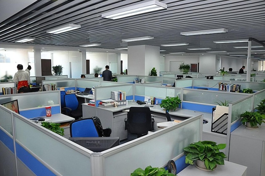 Chán thành phố, cô gái lên núi tự tay khai phá 12.000m2 đất hoang thành thiên đường của riêng mình: Cuộc sống  trồng rau, nuôi gà vẫn thú vị hơn là ngồi “gõ phím di chuột” - Ảnh 4.