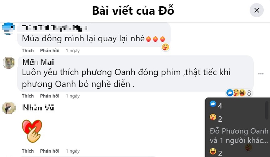 Phương Oanh thả tim bình luận 'bỏ nghề diễn' khiến fan xôn xao - Ảnh 3.