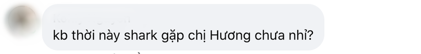 Shark Bình khoe ảnh hiếm thời “nai tơ”, netizen hỏi: Thời này gặp chị Hương chưa? - Ảnh 4.