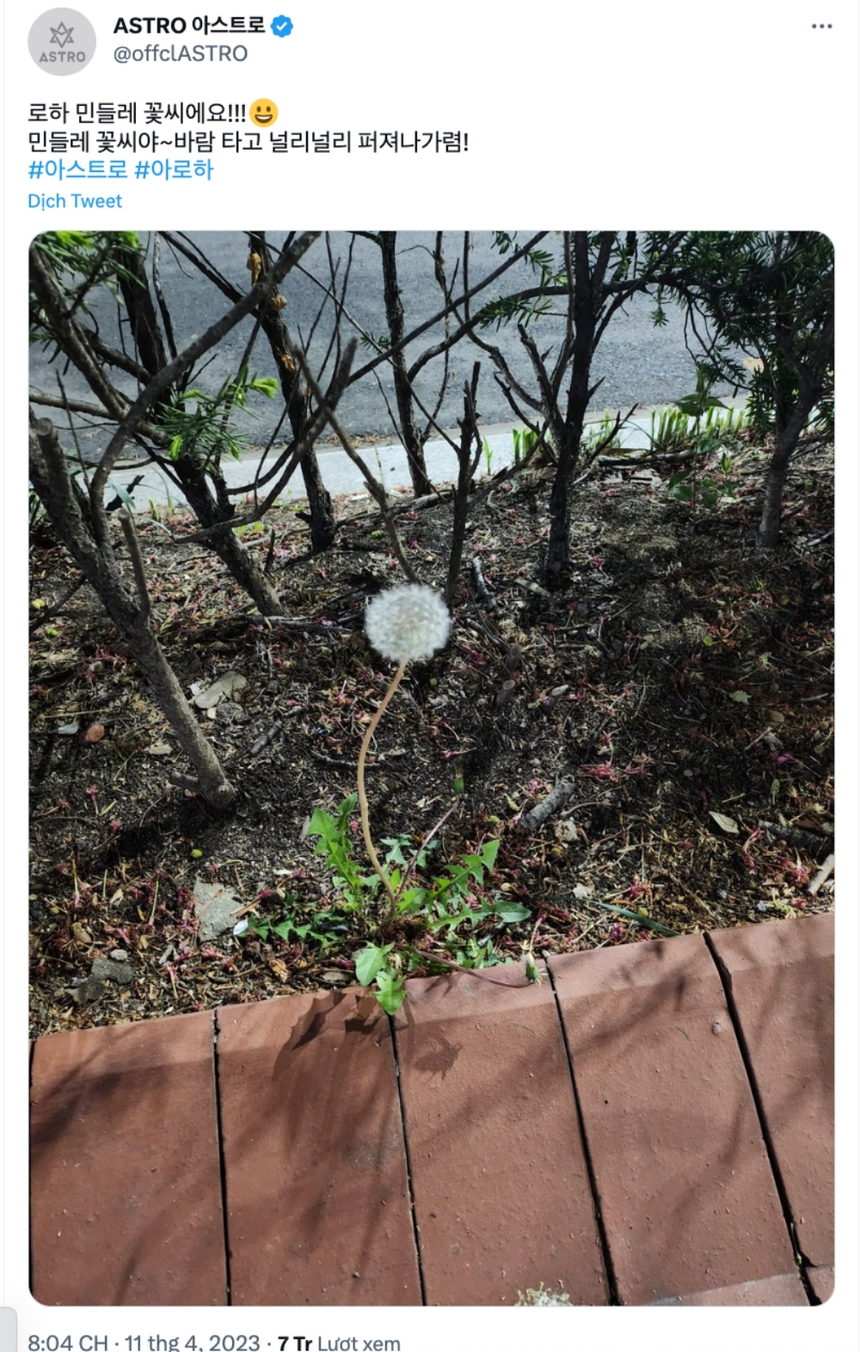 Hàm ý sâu xa từ bức ảnh cuối cùng Moonbin Astro đăng trên mạng khiến fan càng thêm đau buồn - Ảnh 1.