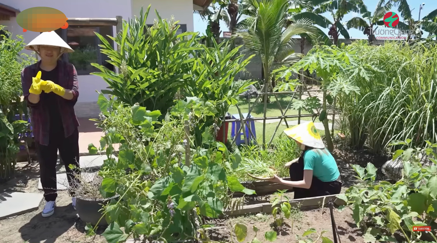 Sân vườn nhà sao Việt - Ảnh 24.