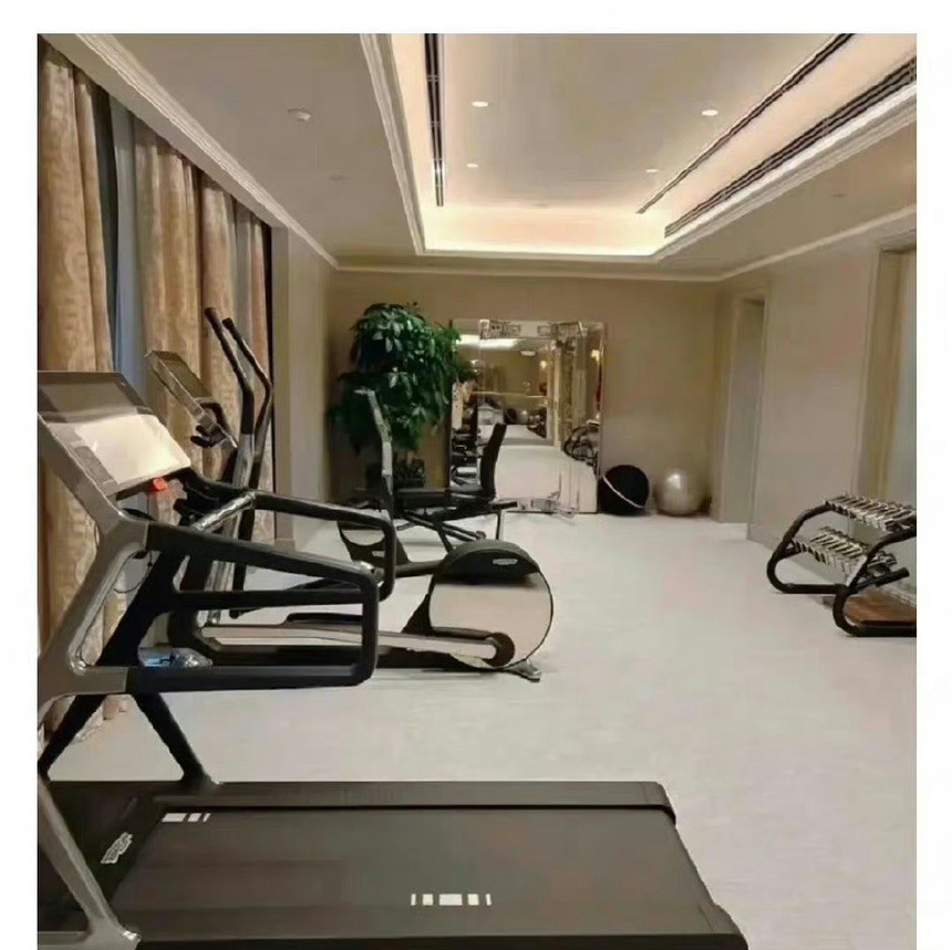 Biệt thự tân hôn giá 3 ngàn tỷ của Hà Siêu Liên - Đậu Kiêu: Rộng 4.500m2 như cung điện, bề thế đến nỗi netizen sợ đi vào sẽ lạc đường - Ảnh 8. Biệt thự tân hôn giá 3 ngàn tỷ của Hà Siêu Liên - Đậu Kiêu: Rộng 4.500m2 như cung điện, bề thế đến nỗi netizen sợ đi vào sẽ lạc đường - Ảnh 8.