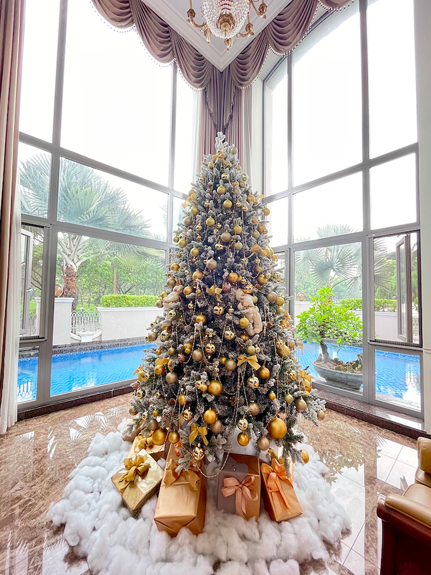 đại gia - Ảnh 4.