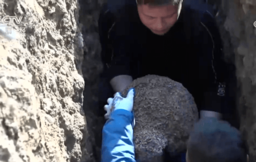 Loài vật nhỏ bằng con kiến nhưng đe dọa cả một con đập ở Trung Quốc: Có sức mạnh “ăn mòn” sắt thép, gây thiệt hại hàng triệu USD - Ảnh 1.