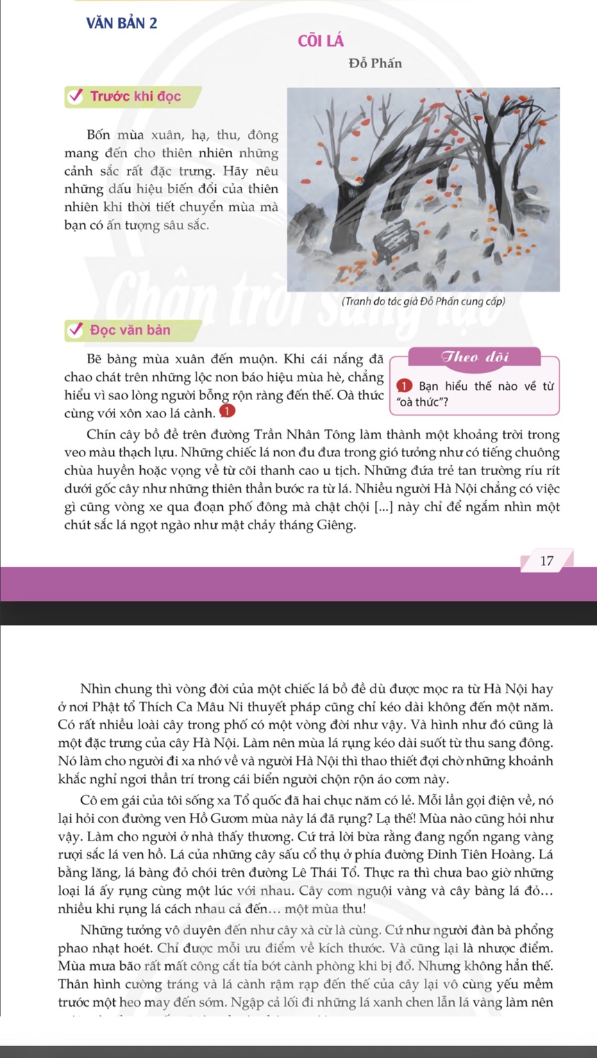 Gặp lại các tác giả được đưa vào sách giáo khoa - Đỗ Phấn: 'Văn chương của tôi chỉ là chuyện thường nhật…' - Ảnh 4.