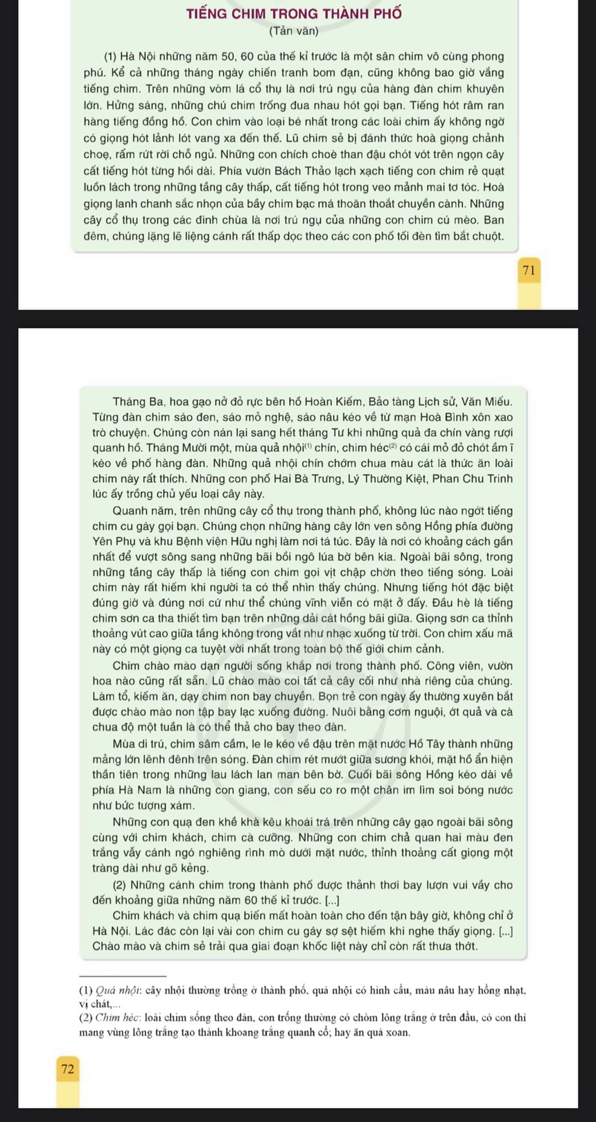 Gặp lại các tác giả được đưa vào sách giáo khoa - Đỗ Phấn: 'Văn chương của tôi chỉ là chuyện thường nhật…' - Ảnh 2.