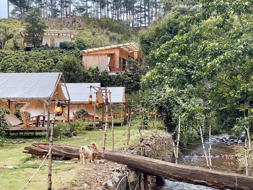 Giá dưới 2 triệu/đêm, nông trại cổ tích "ẩn mình" trên cao nguyên ở Đà Lạt có gì mà gia đình nhỏ của Hà Tăng "quên lối về" ?  - Ảnh 3.