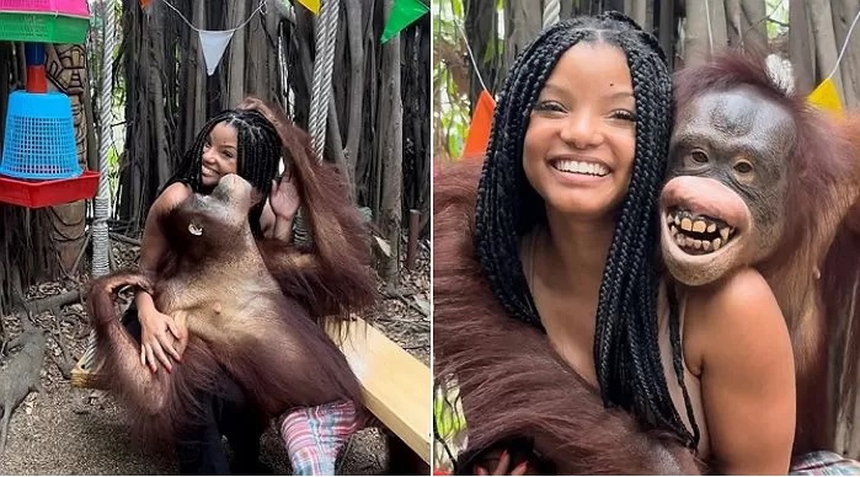 'Nàng tiên cá' Halle Bailey bị chỉ trích vì đến sở thú khét tiếng ngược đãi động vật - Ảnh 4.