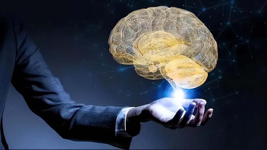 Nghiên cứu khoa học chỉ ra người có IQ thấp có xu hướng phản ứng nhanh, trong khi người IQ cao lại chậm chạp – Nguyên nhân do đâu? - Ảnh 4. Nghiên cứu khoa học chỉ ra người có IQ thấp có xu hướng phản ứng nhanh, trong khi người IQ cao lại chậm chạp – Nguyên nhân do đâu? - Ảnh 4.