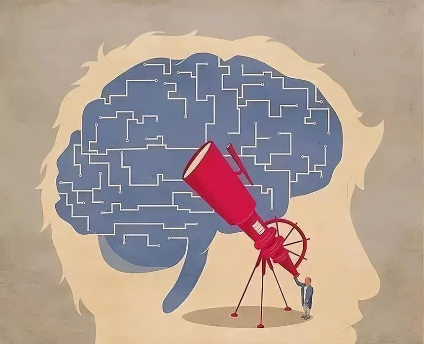 Nghiên cứu khoa học chỉ ra người có IQ thấp có xu hướng phản ứng nhanh, trong khi người IQ cao lại chậm chạp – Nguyên nhân do đâu? - Ảnh 2. Nghiên cứu khoa học chỉ ra người có IQ thấp có xu hướng phản ứng nhanh, trong khi người IQ cao lại chậm chạp – Nguyên nhân do đâu? - Ảnh 2.