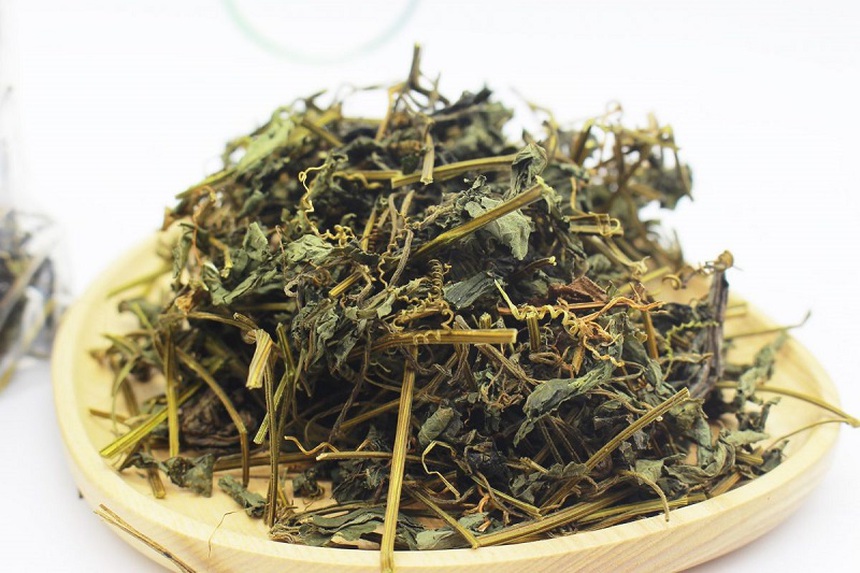 Loại cây leo thế giới ví tốt như sâm, tôn là 'cỏ trường sinh' người Việt có nhiều nhưng ít dùng - Ảnh 1.