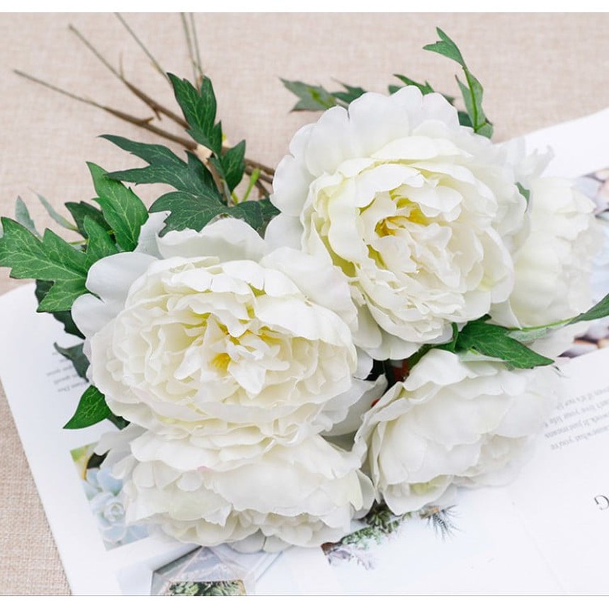 Tảo mộ Tết Thanh Minh: 3 loài hoa dâng cúng khiến bề trên ưng ý, 2 loài bạc bẽo cần tránh xa - Ảnh 3. Tảo mộ Tết Thanh Minh: 3 loài hoa dâng cúng khiến bề trên ưng ý, 2 loài bạc bẽo cần tránh xa - Ảnh 3.