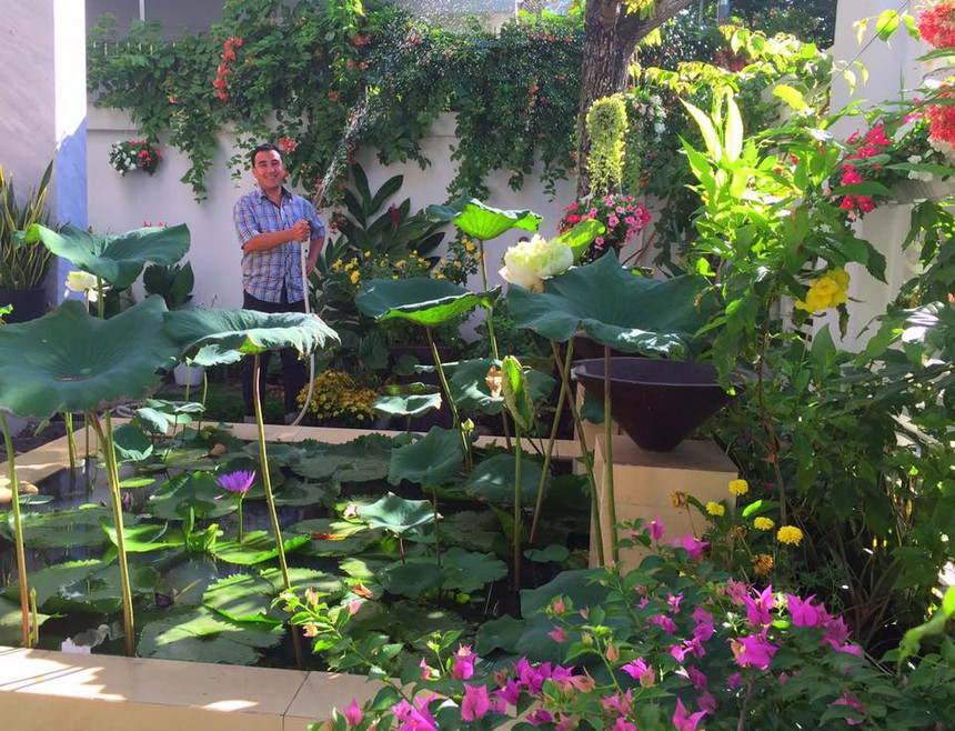 Không phải penthouse hay duplex, đây mới là "gu nhà" của nghệ sĩ Việt: Diện tích rộng hàng nghìn m2, có căn "4 mặt" là gỗ tự nhiên, tách biệt phố thị xô bồ  - Ảnh 3.