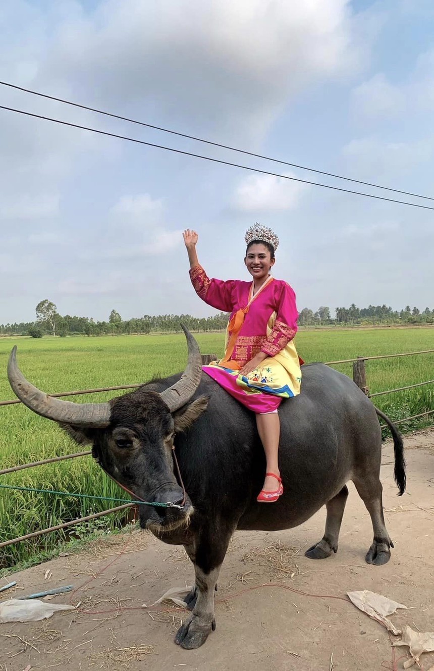 Ngán ngẩm trò lố của thí sinh Hoa hậu Thái: Cưỡi trâu đến thi, màn hô tên 'đặc sản' vẫn gây tranh cãi - Ảnh 3.