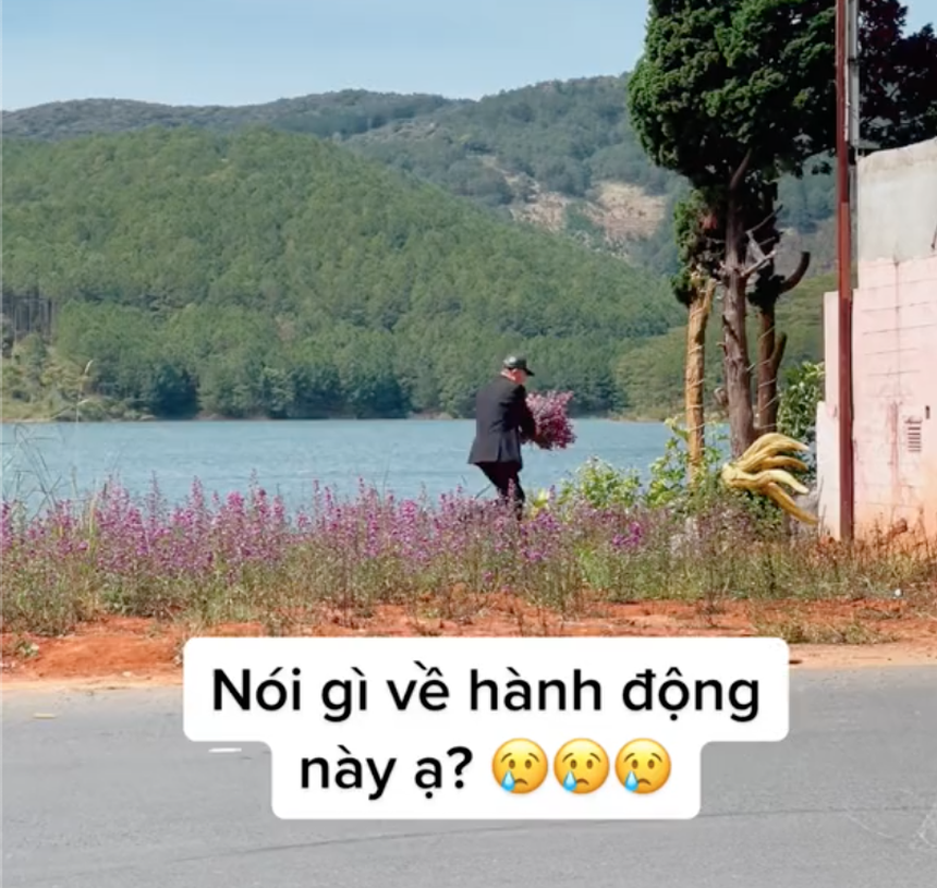 Clip người đàn ông đi ô tô nhảy xuống hái hoa ven đường ở Đà Lạt khiến dân tình phẫn nộ - Ảnh 2.