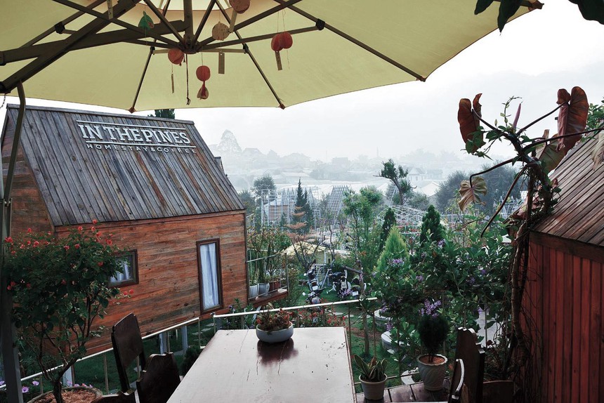 Giá chưa đến 600.000 đồng/đêm, homestay “cổ tích” ẩn mình ở xứ sở ngàn thông Đà Lạt có gì mà Hà Tăng cùng nhóm bạn từng đến mở tiệc? - Ảnh 5.