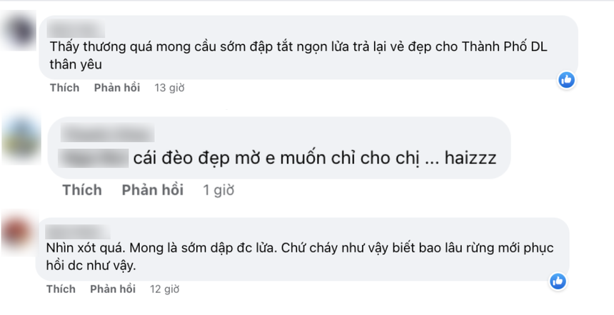 Du khách buồn bã, xót xa trước cảnh đồi thông cửa ngõ đèo Prenn bùng cháy dữ dội - Ảnh 5.