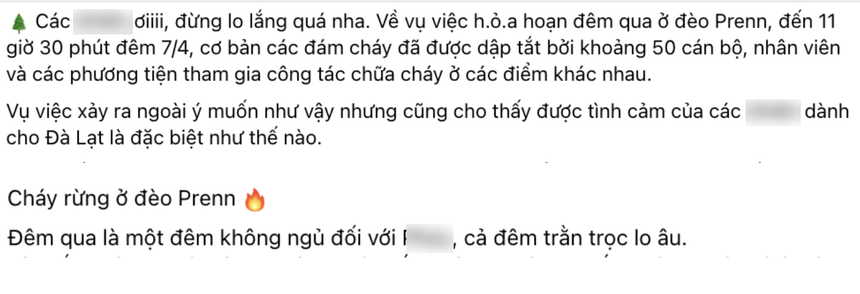 Du khách buồn bã, xót xa trước cảnh đồi thông cửa ngõ đèo Prenn bùng cháy dữ dội - Ảnh 6.