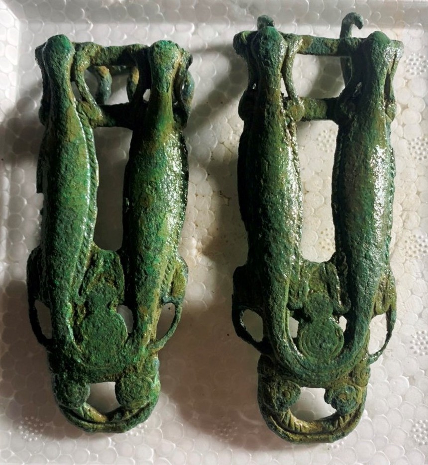 Đêm đêm rì rầm trong tiếng đất: Ếch và cá sấu - thú thiêng Đông Sơn - Ảnh 9. Đêm đêm rì rầm trong tiếng đất: Ếch và cá sấu - thú thiêng Đông Sơn - Ảnh 9.