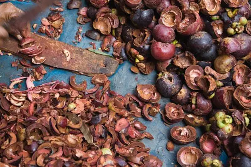 Măng cụt đắt đỏ nửa triệu 1kg, 100 người ăn sẽ vứt vỏ phí hoài 'thuốc quý'  - Ảnh 1.