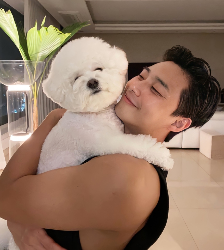 Quốc gia nơi cún cưng được đối xử như "vua": Hưởng mọi dịch vụ spa, ăn uống xa hoa đắt đỏ, tạo nên ngành công nghiệp trị giá 80 nghìn tỷ đồng - Ảnh 1.