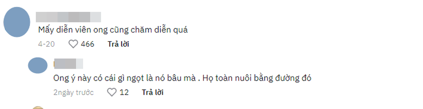 Phân phối mật ong giá quá rẻ, con trai bà Tân từng bị nghi ngờ “thuê ong” để phụ hoạ bán hàng - Ảnh 2.