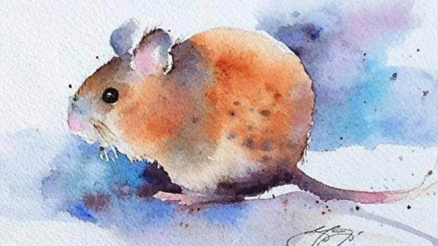 Sang tháng 4 âm lịch, 4 con giáp này được thần Tài "gọi tên": Sửu "vận đỏ như son", Tý có quý nhân phù trợ - Ảnh 3. Sang tháng 4 âm lịch, 4 con giáp này được thần Tài "gọi tên": Sửu "vận đỏ như son", Tý có quý nhân phù trợ - Ảnh 3.