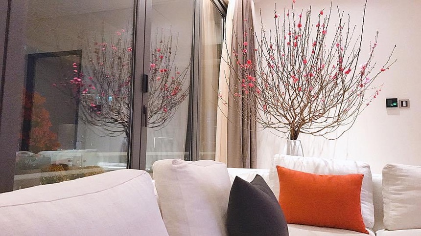 Biệt thự đắt đỏ của vợ chồng Đặng Thu Thảo: Nằm tại trung tâm Quận 1, view sang chảnh bao trọn thành phố - Ảnh 4.