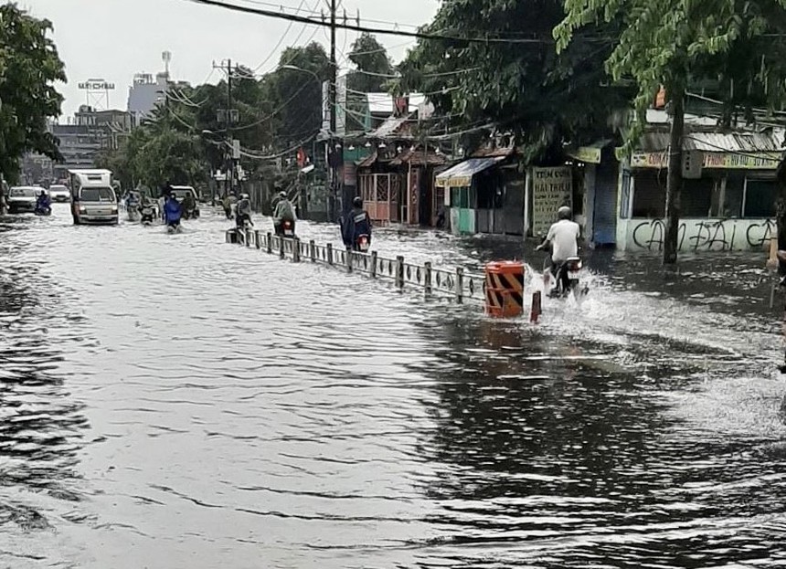 TP. Hồ Chí Minh: Mưa to gây ngập, giông lốc làm đổ nhiều cây  - Ảnh 1.
