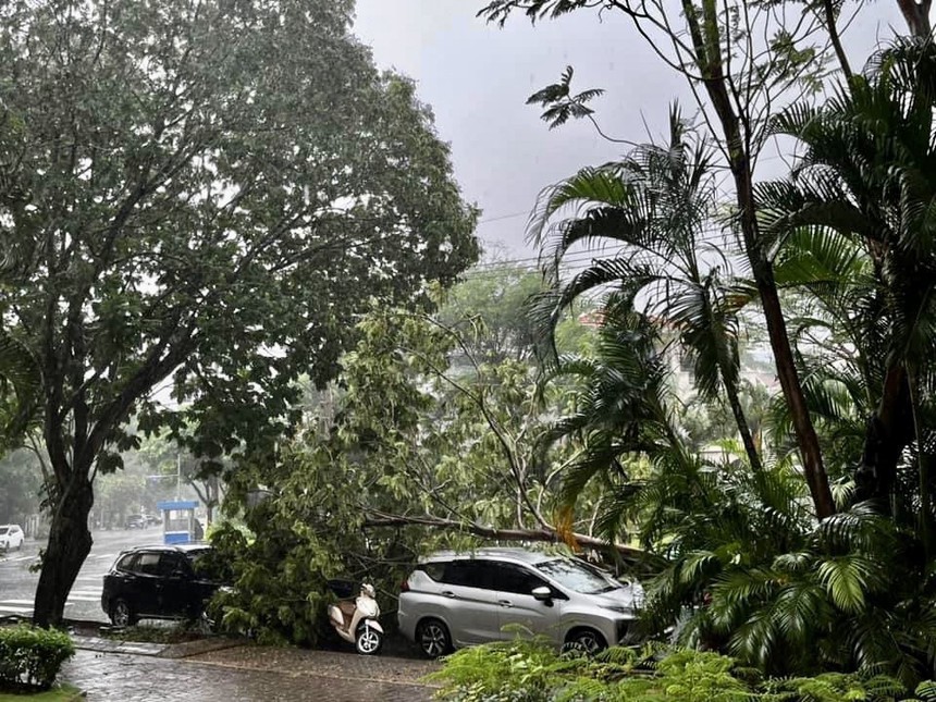 TP. Hồ Chí Minh: Mưa to gây ngập, giông lốc làm đổ nhiều cây  - Ảnh 4.