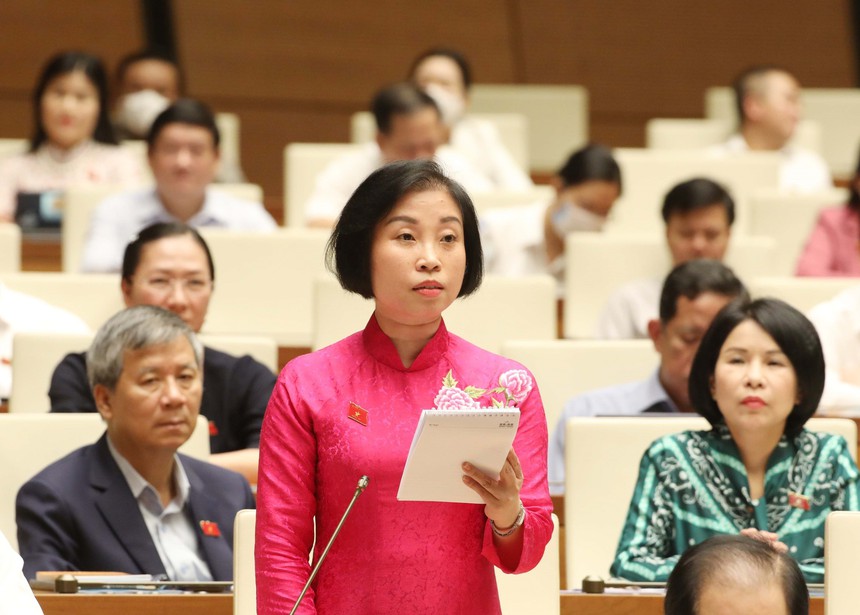 Bên lề Kỳ họp thứ 5, Quốc hội khoá XV: Cần thiết giữ giá trần vé máy bay - Ảnh 1.