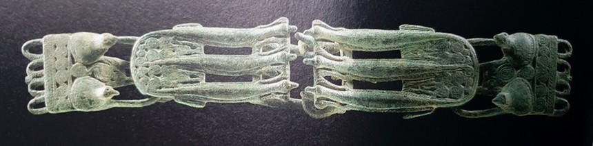 Đêm đêm rì rầm trong tiếng đất: Chim và rùa trong thế giới tâm linh Đông Sơn - Ảnh 8.